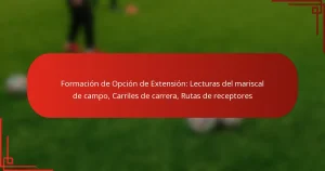 Formación de Opción de Extensión: Lecturas del mariscal de campo, Carriles de carrera, Rutas de receptores